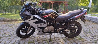 Suzuki GS500FU - 2