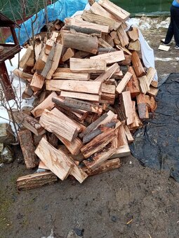 Prodám palivové dřevo - 2