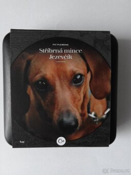 Stř. mince ze série Psí plemena - Jezevčík - 2