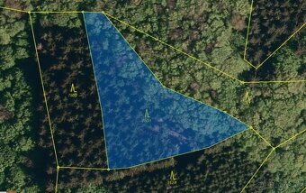 Lesní pozemek k.ú. Pozděchov 2.948m2 - 2