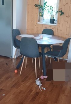 Jídelní stůl a 4 židle - 2