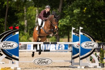 Hannoverský valach - 2