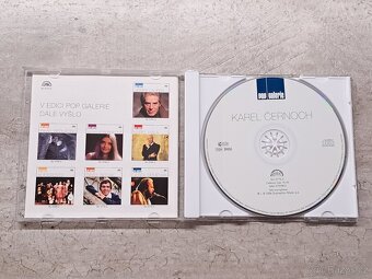 KAREL ČERNOCH - POP GALERIE - 2