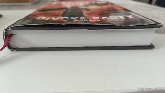 Divoké karty George R. R. Martin - 2