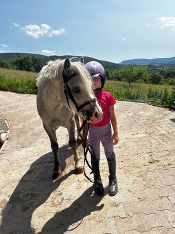 Predam sikovneho S pony - 2