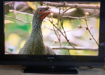 Prodám Televizi LCD Sharp 32SH7E-BK 82 cm - 2