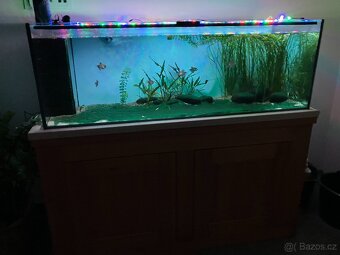 Prodám akvárium 200l, 120-40-40cm - 2