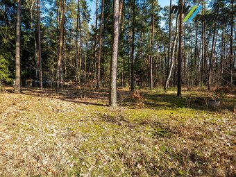 Kersko, prodej stavebního pozemku (3725 m2), okres Nymburk - 2