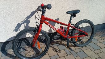 Levit Kogo 20" - 2