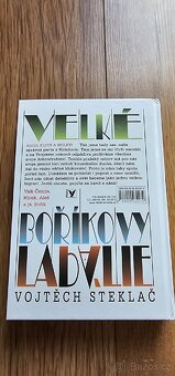 Velké Boříkovy lapálie - Vojtěch Steklač - 2