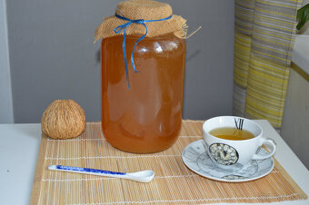 Kombucha – čajová houba - 2