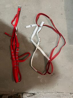 Uzdečka červená - 2