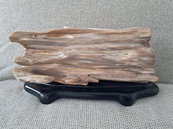 zkamenělé dřevo - 2