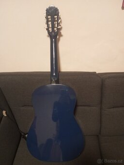 Kytara s obalem - 2