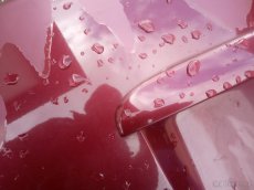 5 dveře s Octavia - 2