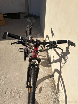 Trek kolo Author - 2