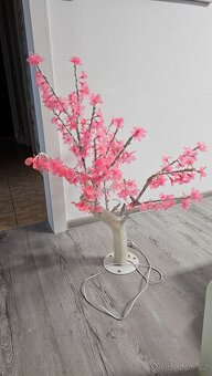 Svíticí sakura - 2