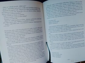 Prodám G.G. Kay Fionavarská tapisérie - Letní strom - 2