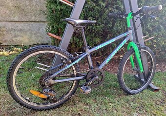 Chlapecké kolo Author - 2