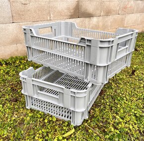 Přepravky OZ na brambory i jablka 60.40.22 cm - 2