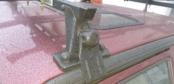 Felicia zahradka - 2