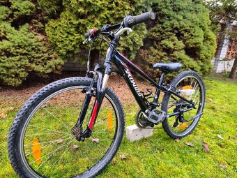 Specialized 24 Detske kolo horske - 2
