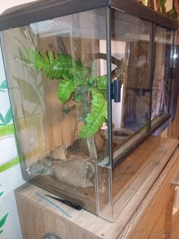 Terarium 45x45x32 - 2