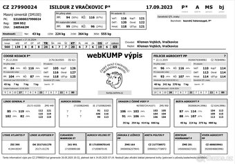 Plemenný býk - 2