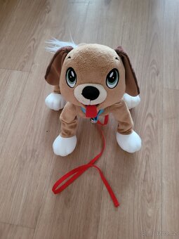 Floppy pejsek - 2