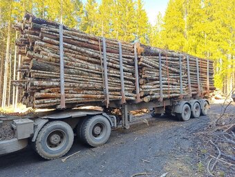 Palivové dřevo neštípané měkké/tvrdé - 2