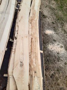 Jasanové fošny 50mm - 2