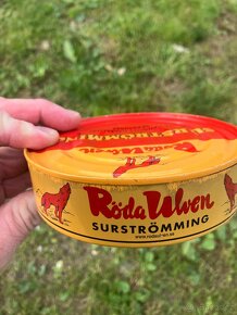 nejsmradlavější ryba světa Surstromning - 2