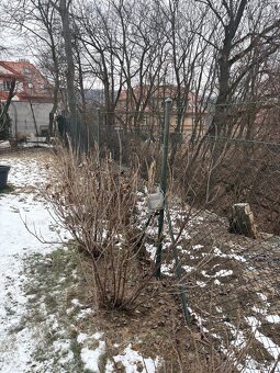 Klasické pletivo z plotu a branka - 2