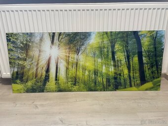 Skleněný obraz - 2