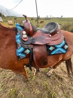 Westernové sedlo Diamond C - 2