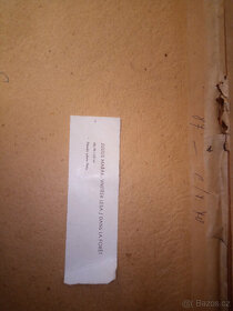 Julius Mařák - Vnitřek lesa - 2