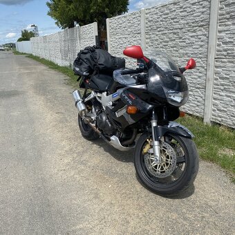 Honda VTR1000 F - 2