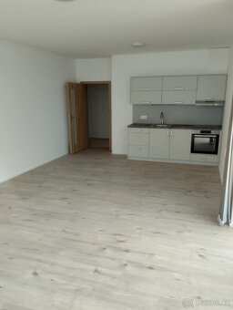Pronájem bytu 1+kk 42,2m. - 2