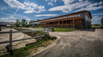 Ošetřovatel koní - 2