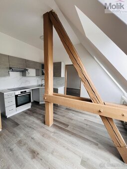 Pronájem bytu 2+1 59 m2 - 2