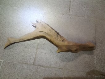 přírodní kořeny do akvária terária - 2