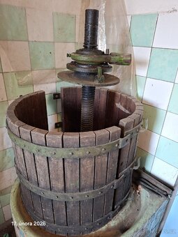 Lis na hrozny a ovoce - 2