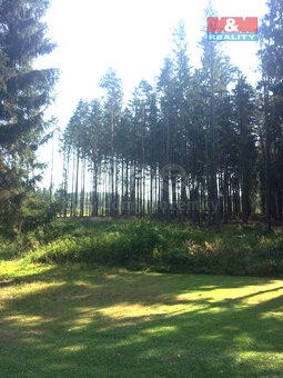 Prodej pozemku v rekreační oblasti 1.037 m² - 2