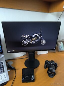 Grafický monitor EIZO FLEXSCAN 2451 - 2