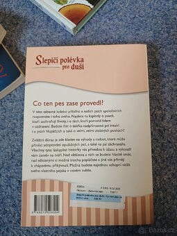 Slepici polévka pro duši - 2