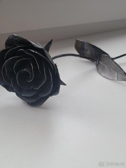 Železná růže - 2