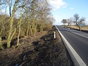 Pozemek u obce Hořenec (okr. Louny) - 2