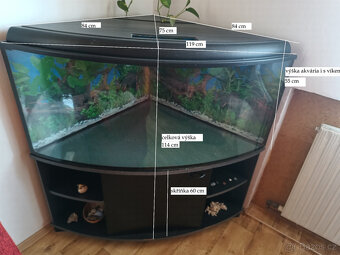 Akvárium rohové - 2