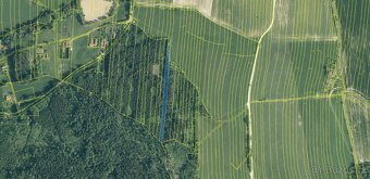 Prodám lesní pozemky v k.ú. Ločenice, p.č. 3857/9 a 3904 - 2