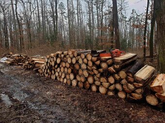 Palivové dřevo - 2